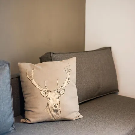 Modern Near The Area